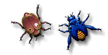 Beetles